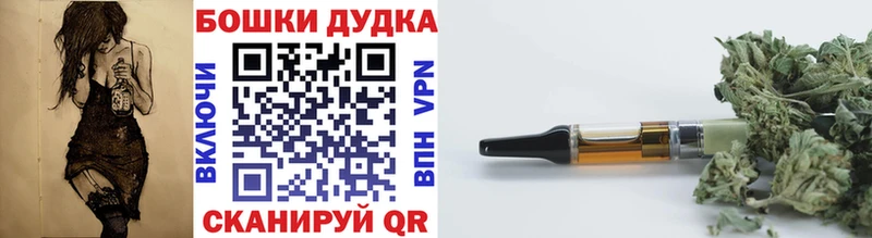 Купить закладку COCAIN  МЕФ  Гашиш  Амфетамин  Конопля  Котлас