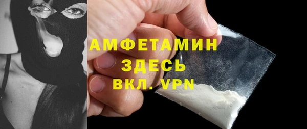 PSILOCYBIN Горняк