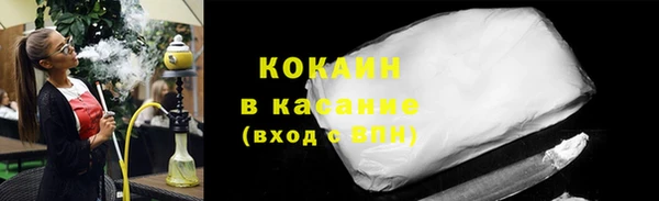 PSILOCYBIN Горняк