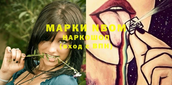 PSILOCYBIN Горняк