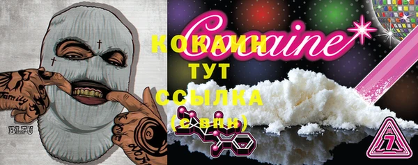 PSILOCYBIN Горняк