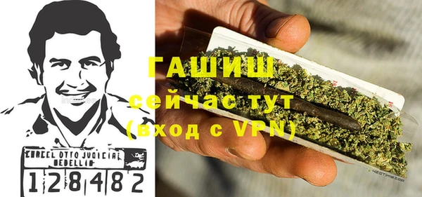 PSILOCYBIN Горняк