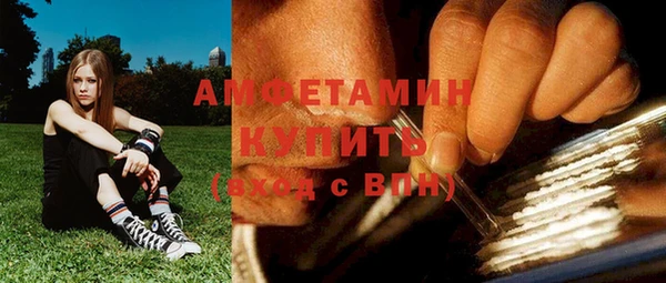 PSILOCYBIN Горняк