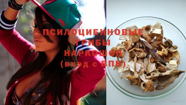 ECSTASY Горнозаводск