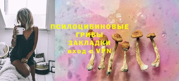 PSILOCYBIN Горняк