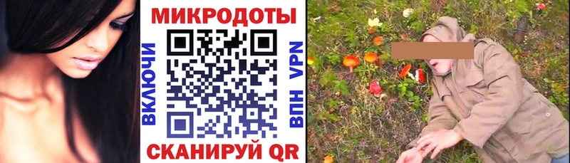 Купить  Котлас  Галлюциногенные грибы Cubensis 